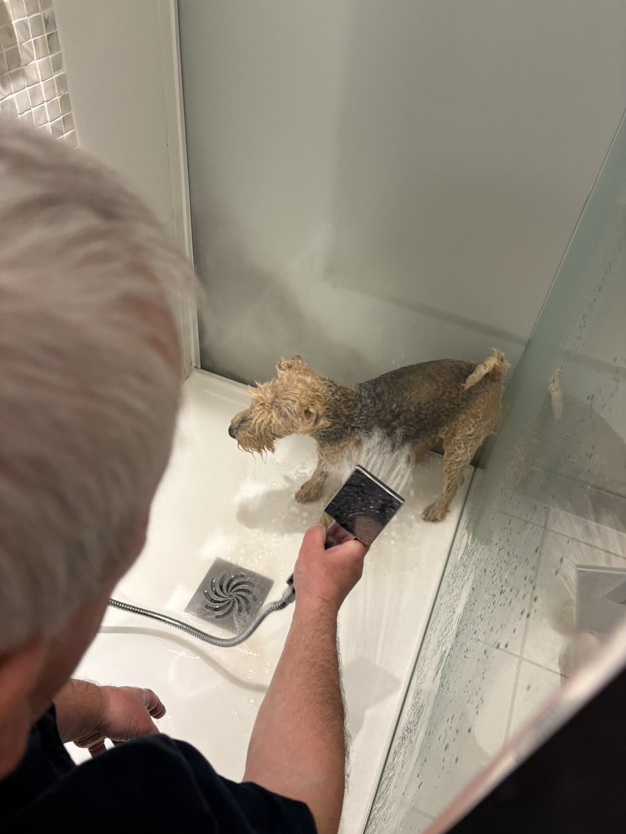 StanleyLakeland's tweet image. Heading home tomorrow pals. Appawrently this involves getting rid of seaside smellyness 😳 #Ridiculous #TotesUnnecessary