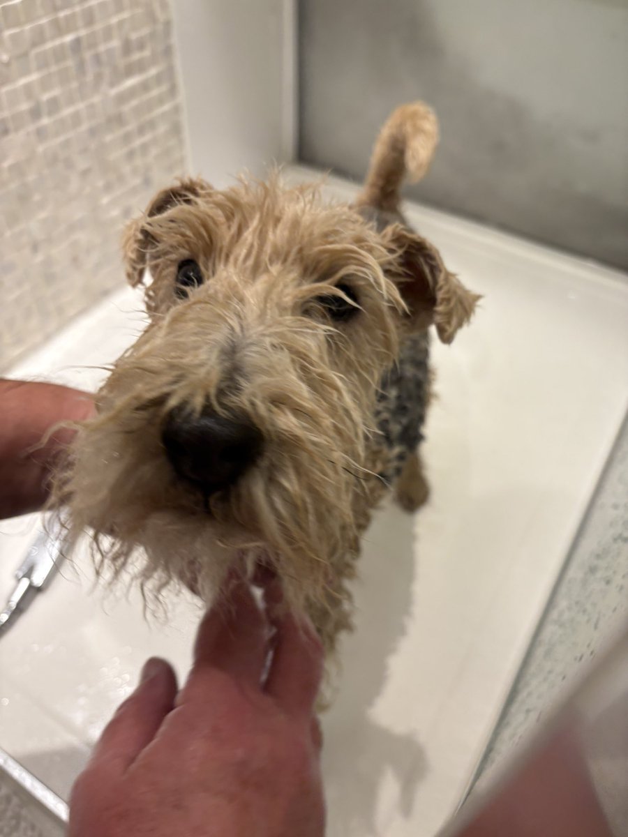 StanleyLakeland's tweet image. Heading home tomorrow pals. Appawrently this involves getting rid of seaside smellyness 😳 #Ridiculous #TotesUnnecessary