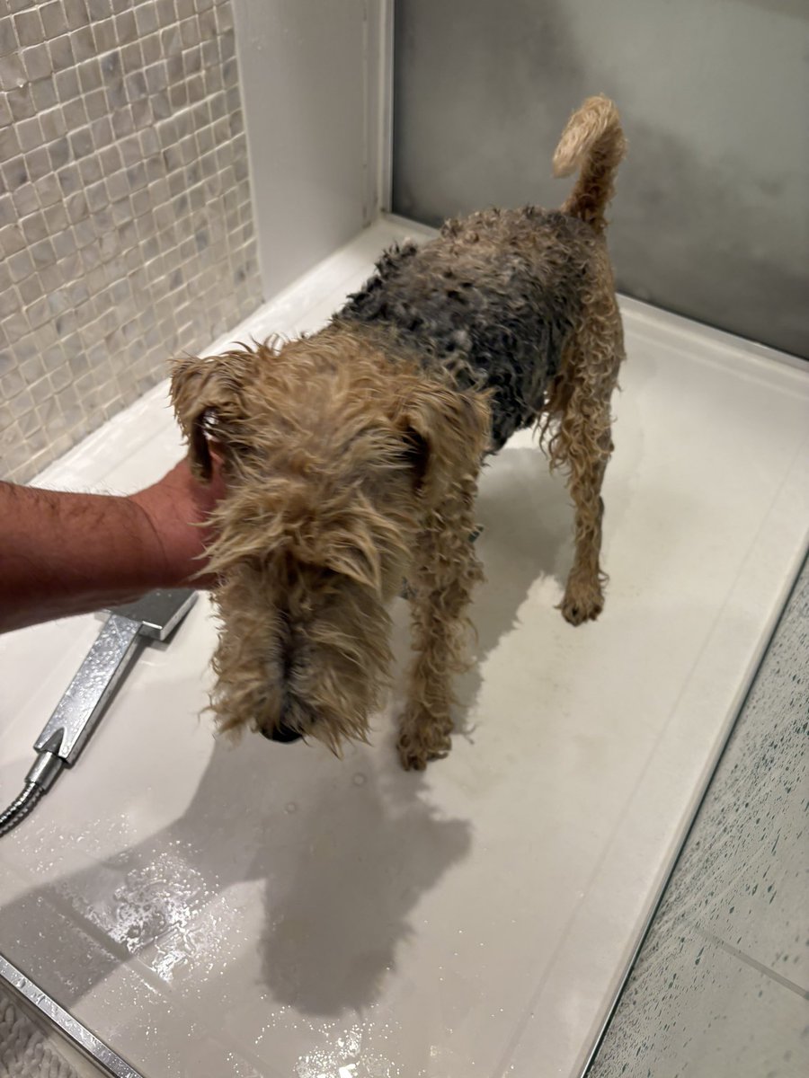 StanleyLakeland's tweet image. Heading home tomorrow pals. Appawrently this involves getting rid of seaside smellyness 😳 #Ridiculous #TotesUnnecessary