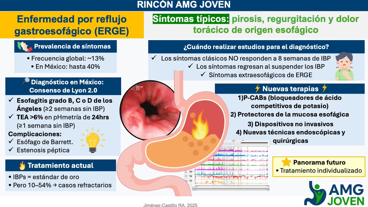 📘 AMG Joven presenta: Enfermedad por reflujo gastroesofágico (ERGE)

Un resumen práctico sobre prevalencia, diagnóstico según el Consenso de Lyon 2.0, síntomas típicos, indicaciones de estudio y nuevas alternativas terapéuticas para casos refractarios.

Actualización esencial