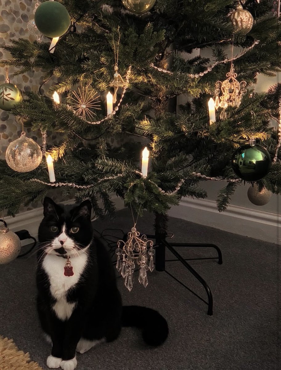 Stuart Mitchell tweet media