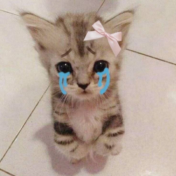 karnthc's tweet image. this is me if u even care :-)