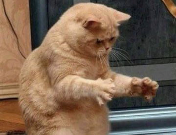 J75🔺recovered the loss regardless 🤝