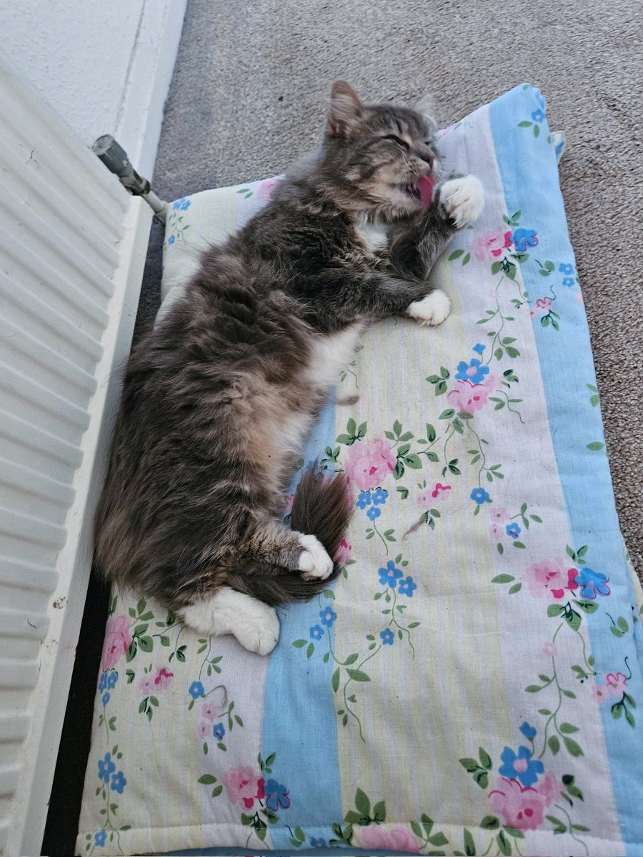 mauvemadness10's tweet image. #AlphabetChallenge #WeekVforVowels 
Ablutions of an immigrant