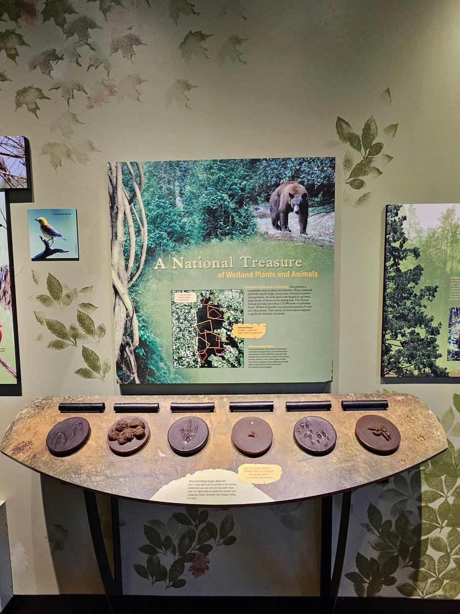 Savannah_0611's tweet image. Digging through more photos since today is the last day for Vowels in the Alphabet Challenge...so here are some from North Carolina, taken earlier this month. #AlphabetChallenge #WeekVforVowels - various vowels seen here