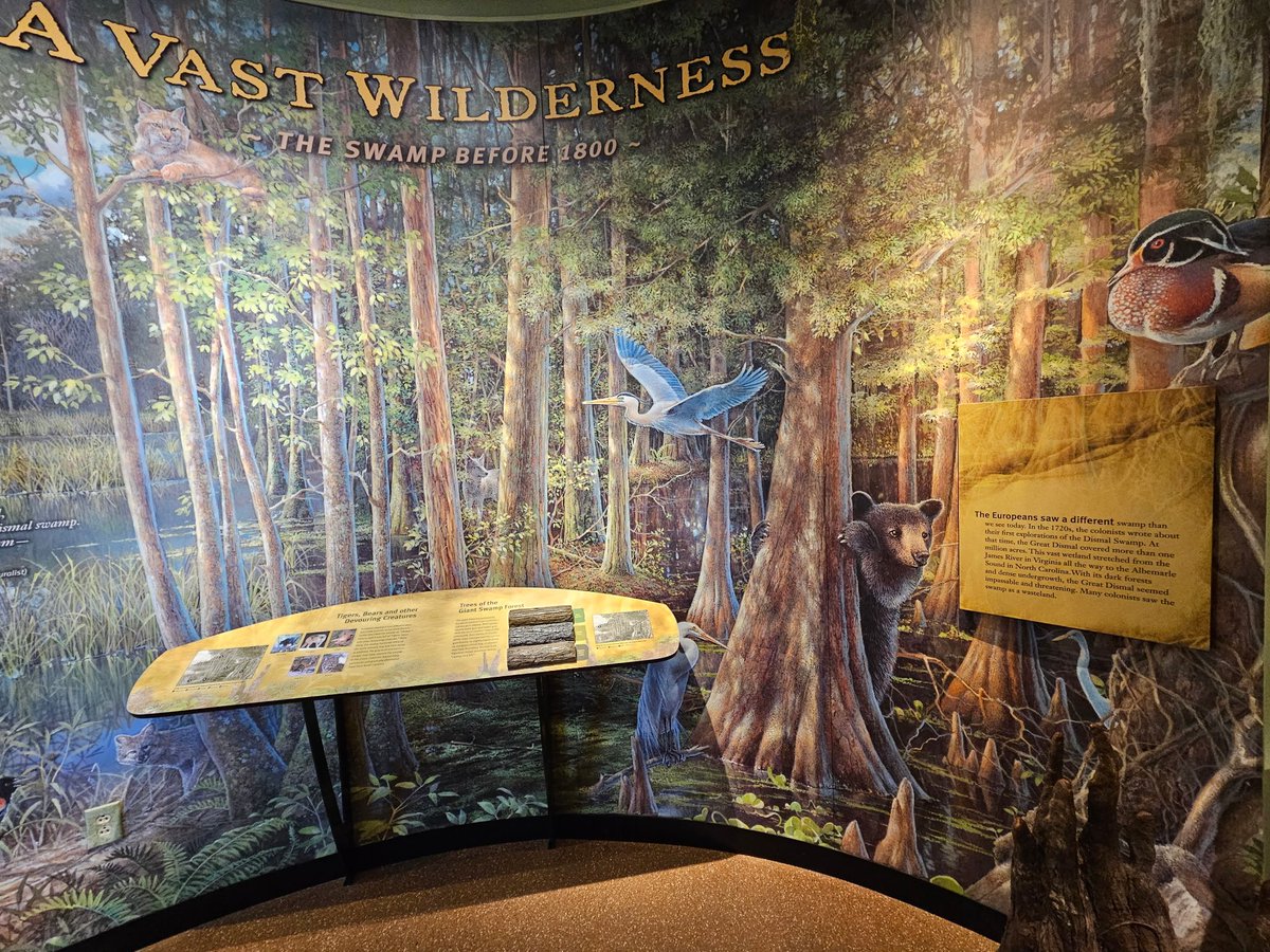 Savannah_0611's tweet image. Digging through more photos since today is the last day for Vowels in the Alphabet Challenge...so here are some from North Carolina, taken earlier this month. #AlphabetChallenge #WeekVforVowels - various vowels seen here