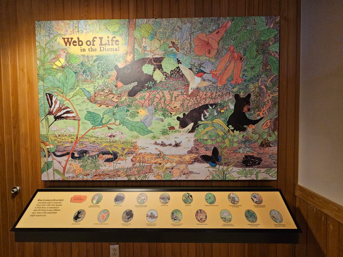 Savannah_0611's tweet image. Digging through more photos since today is the last day for Vowels in the Alphabet Challenge...so here are some from North Carolina, taken earlier this month. #AlphabetChallenge #WeekVforVowels - various vowels seen here