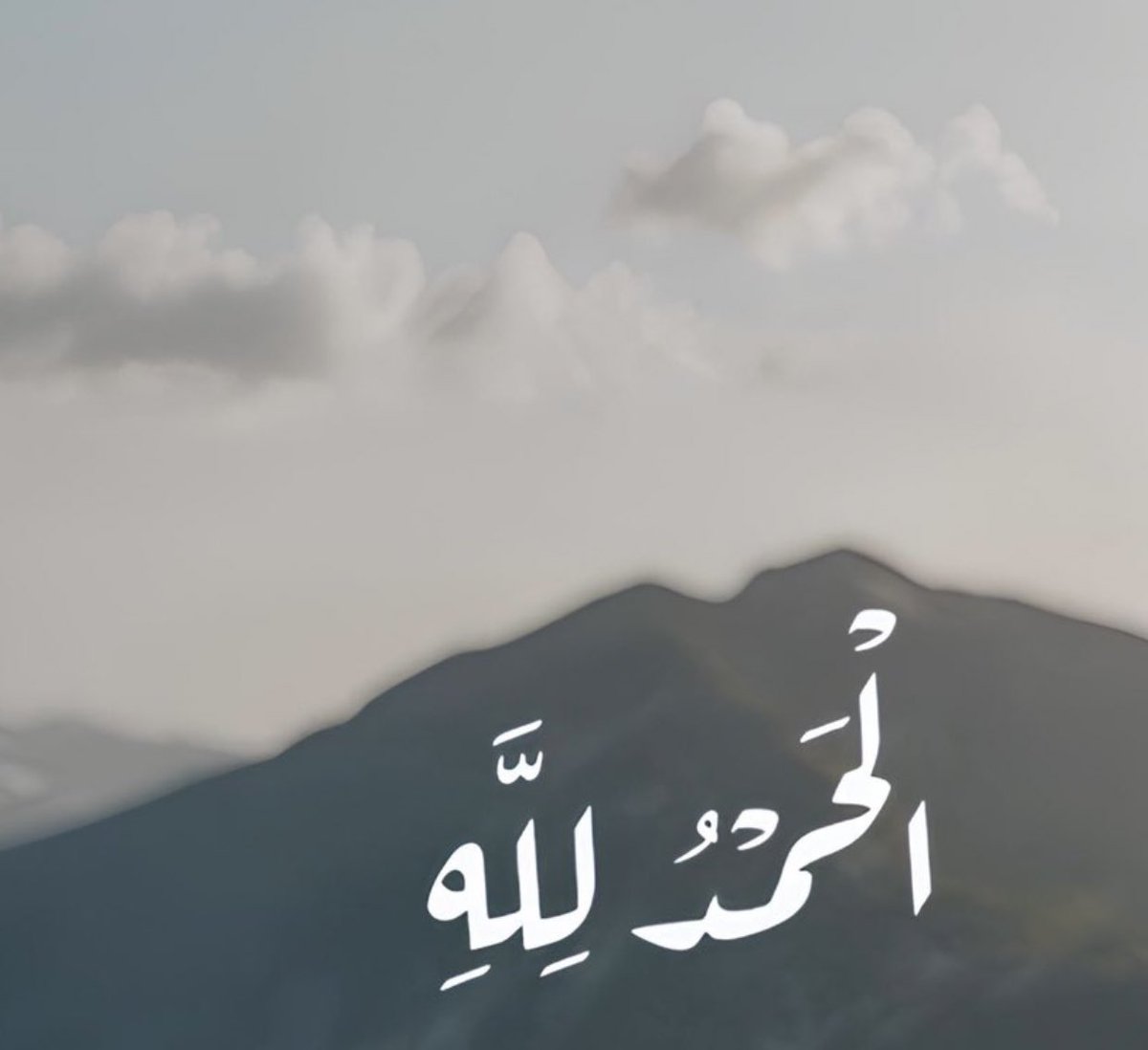 ּڛۜــ؏ــٰا̍د 𝒮𝒪𝒜𝒜𝒟 tweet media