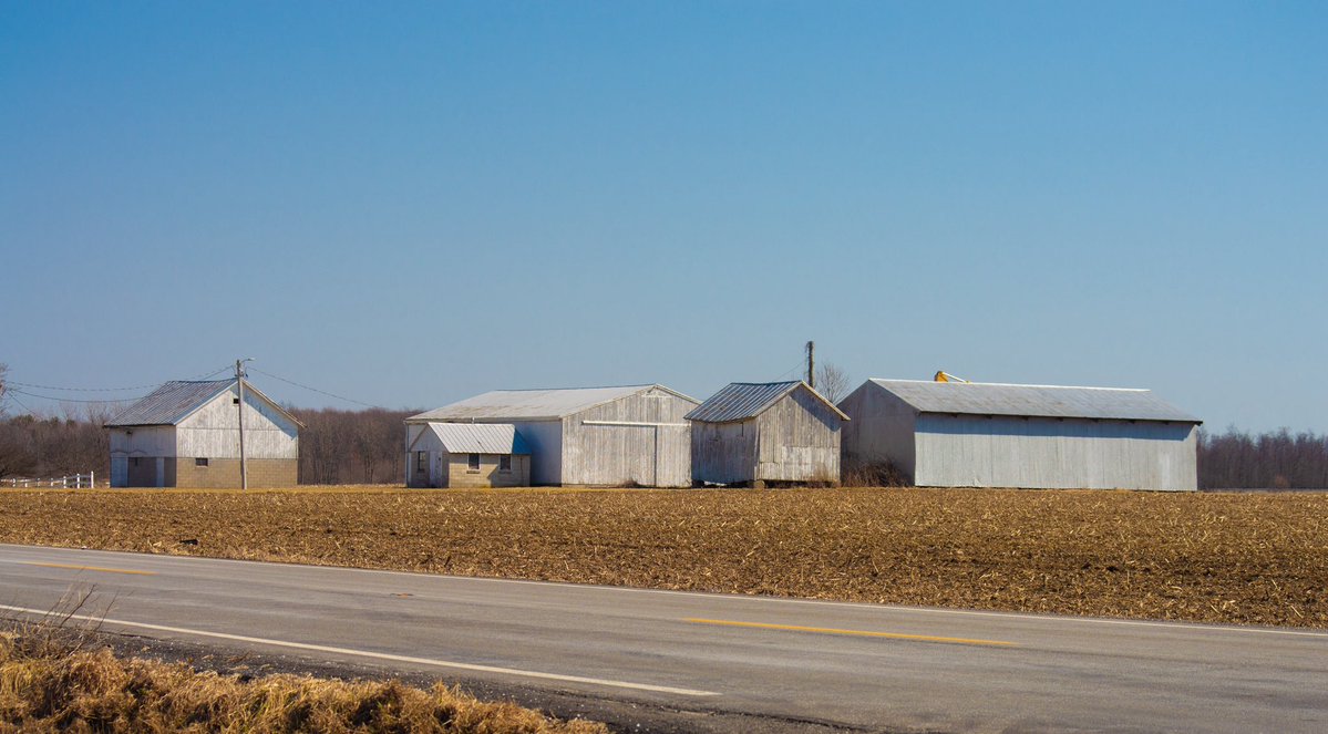 desolangels's tweet image. 