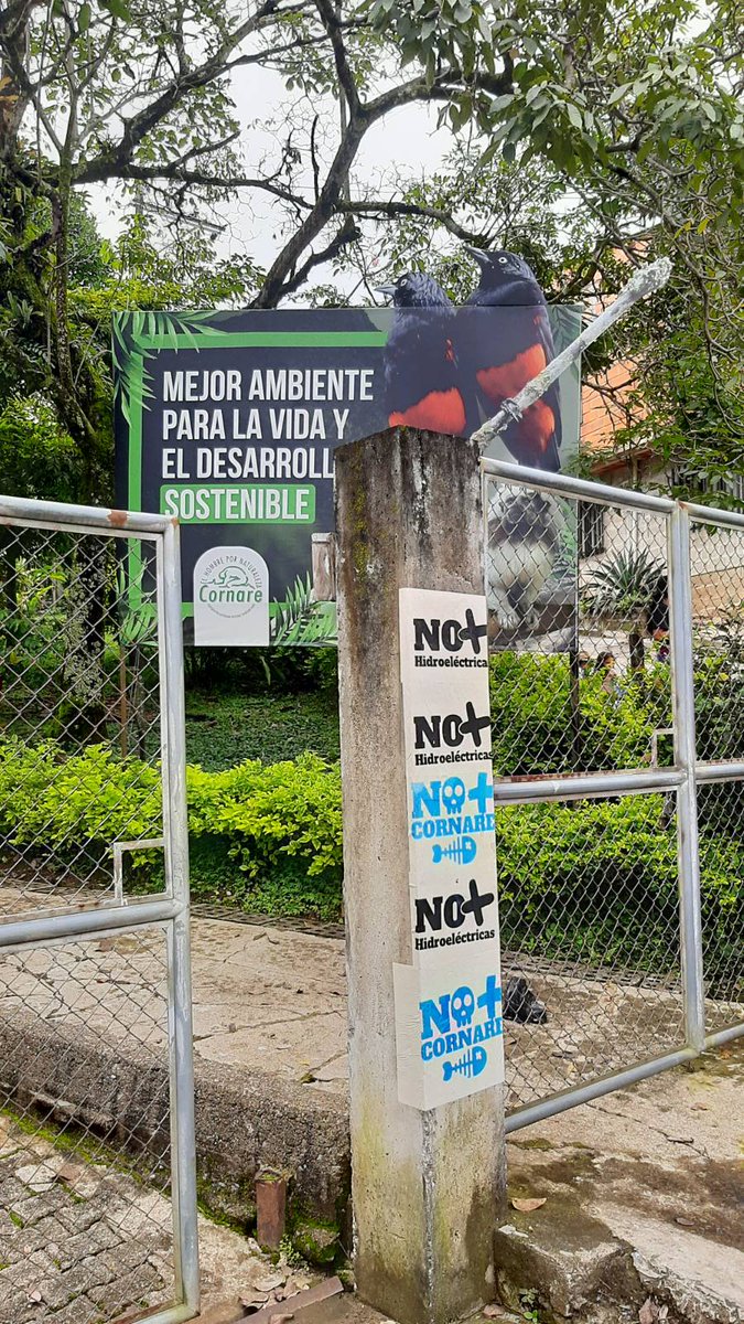 Coordinador Nacional Agrario | CNA-Colombia tweet media