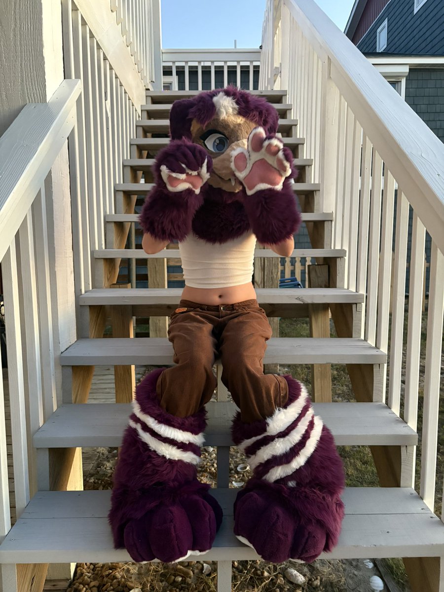 kit 𖦹 🔜 NYFB, ANE tweet media