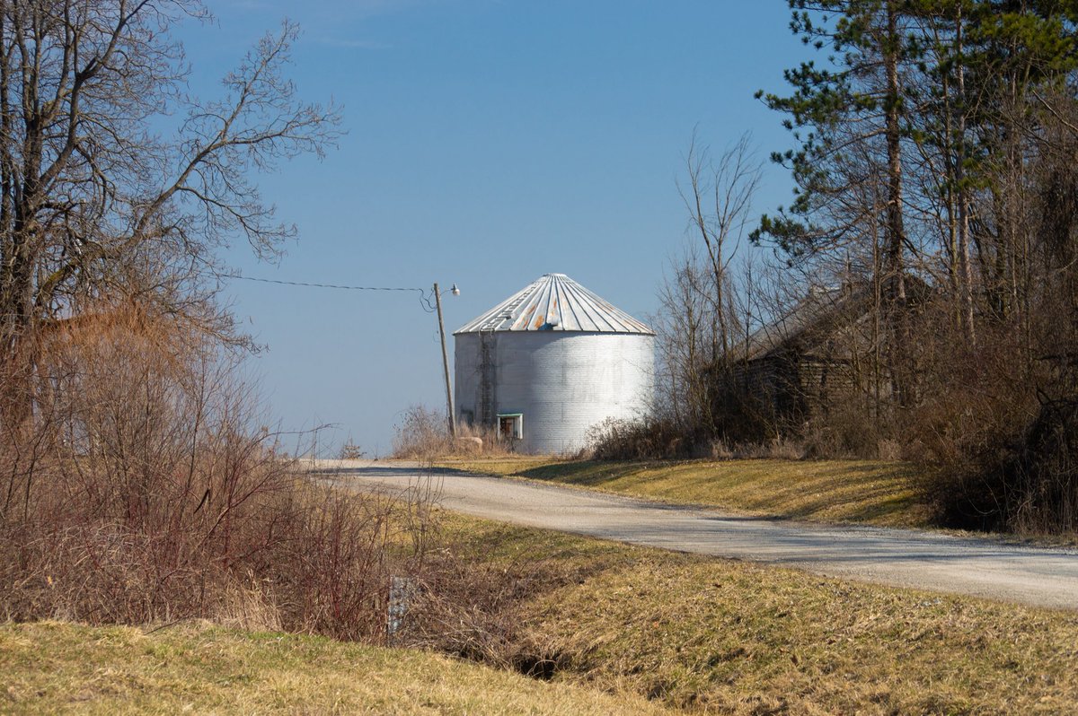 desolangels's tweet image. 