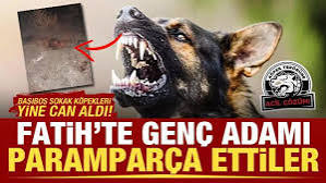 NiluferSabuncu's tweet image. İki çocuk dediğin nedir ki,
Allah muhafaza, babaları köpeğe zarar verseydi,
Bir saat içinde ters kelepçe alınır,
Adalet Bakanımız gece yarısı twit atar,
Bazı iktidar ve muhalefet milletvekillerimiz sinir krizi geçirirdi.

Bilim ve hukukun diliyle, tekrar edelim:
&quot;Bir çocuğun…