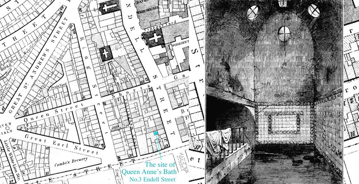 Seven Dials Trust tweet media