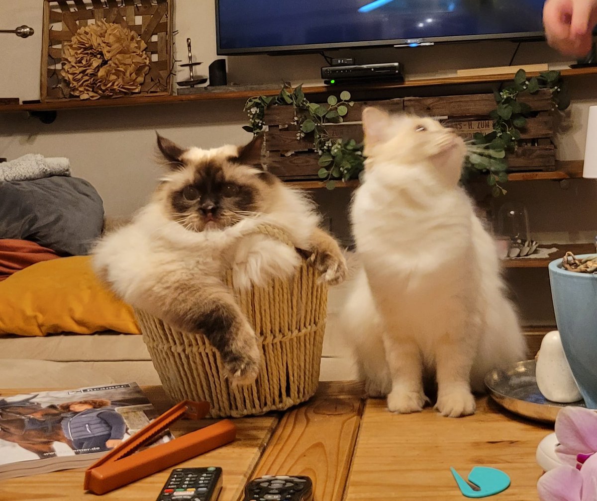 Muksi!! (@muksiiiiii) on Twitter photo 