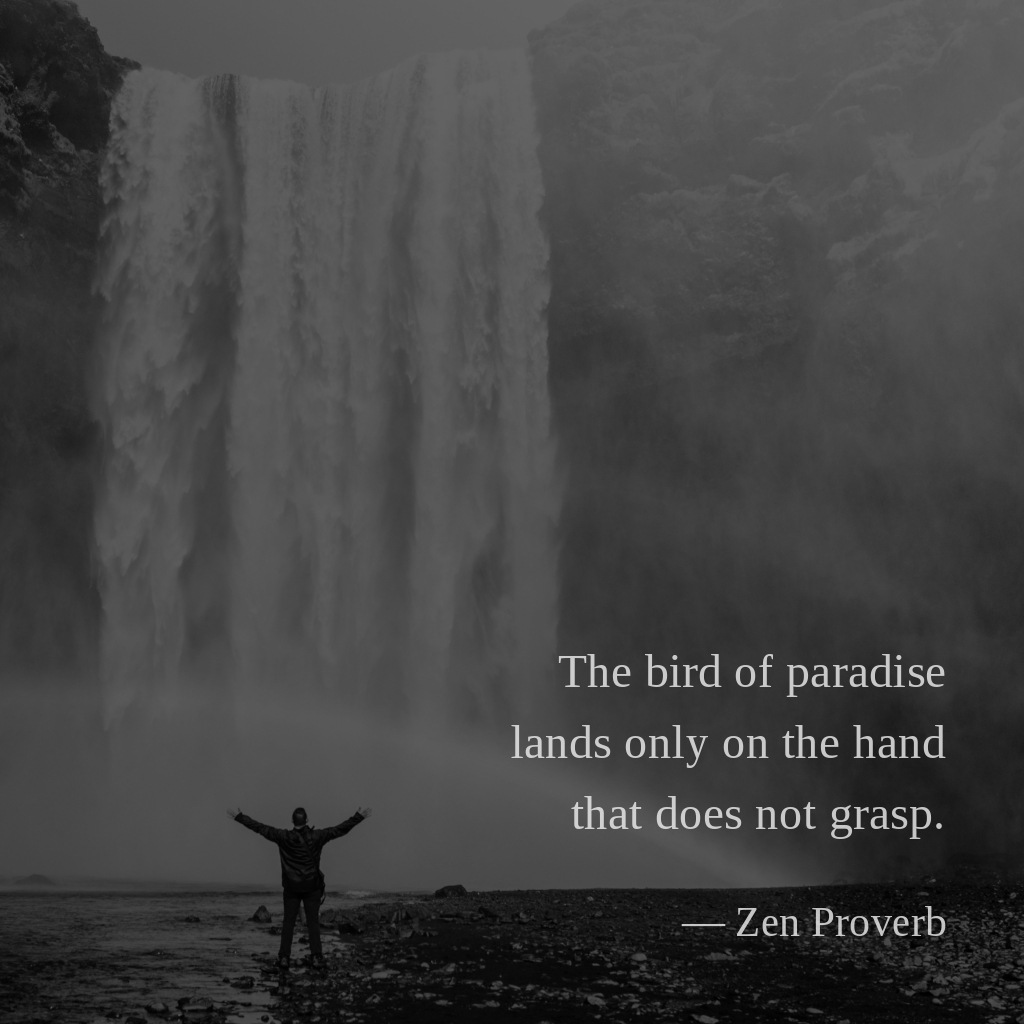 wectar's tweet photo. The bird of paradise lands only on the hand that does not grasp. —Zen Proverb
#ZenProverb #mindfulness #buddhistthought #plato #enlightenment https://t.co/kMyEOkwzz5