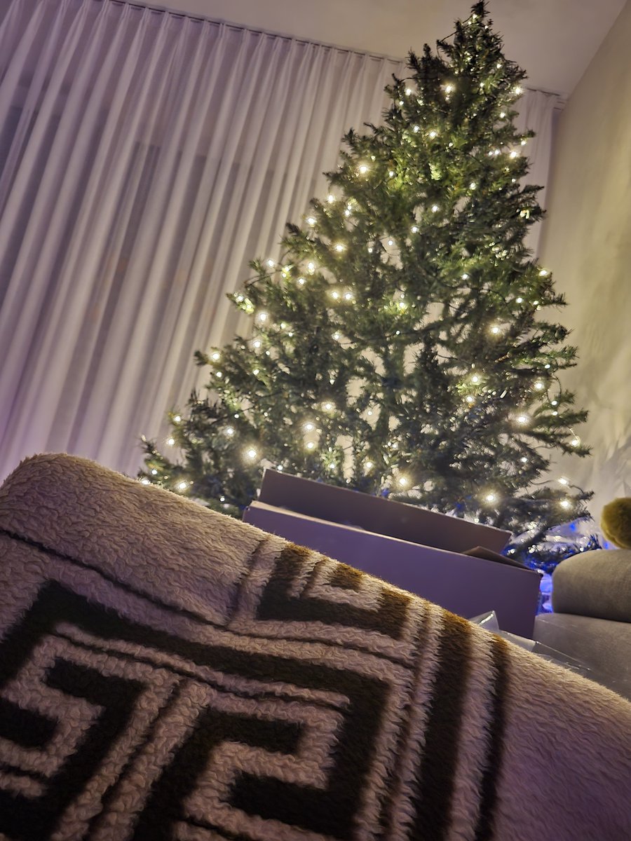 Як же я заєбалась, поки ставила її і рбкручувала тою гірляндою довжиною в кілометр, тільки щоб батько побачив (сам просив), бо він завтра вже їде. А він спати пішов. На іграшки вже навіть сил нема.