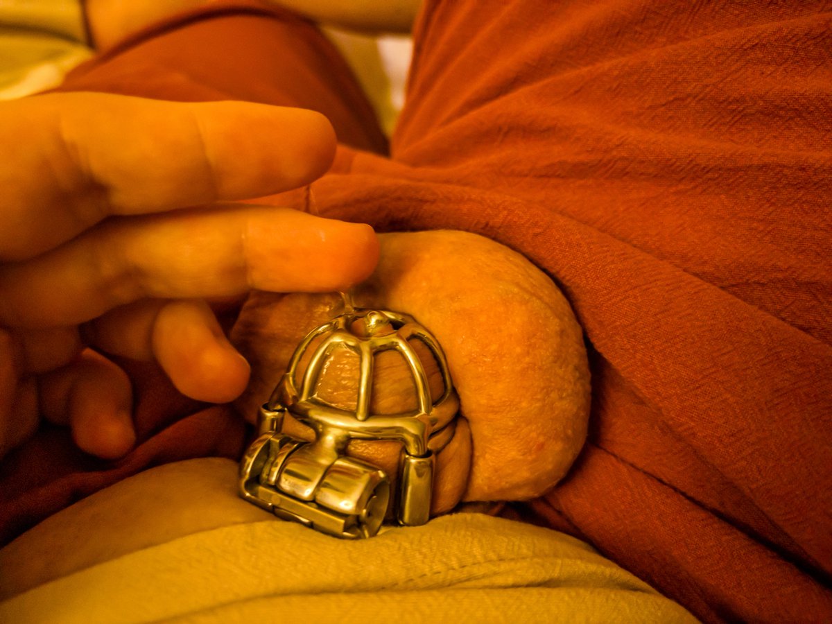 pet the bear tweet media