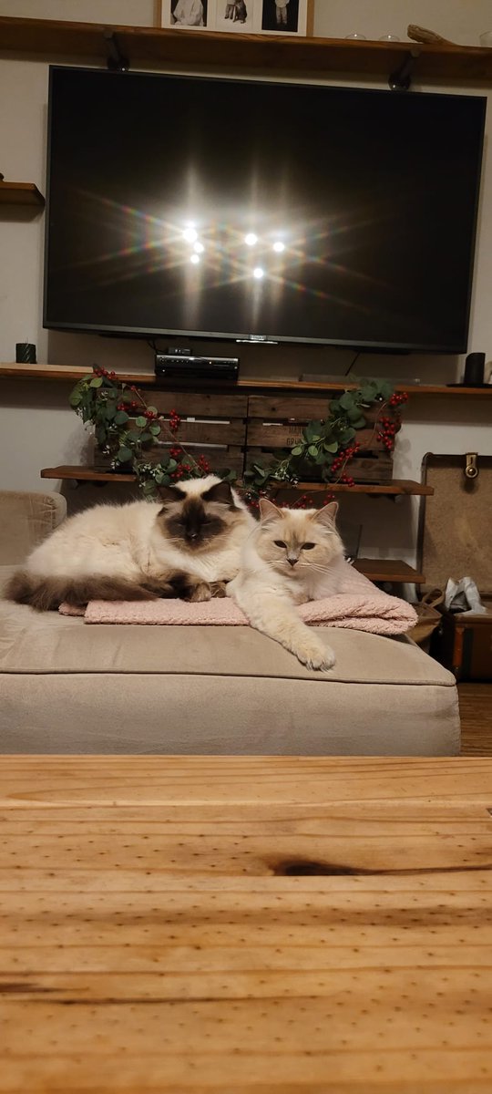 Muksi!! (@muksiiiiii) on Twitter photo 