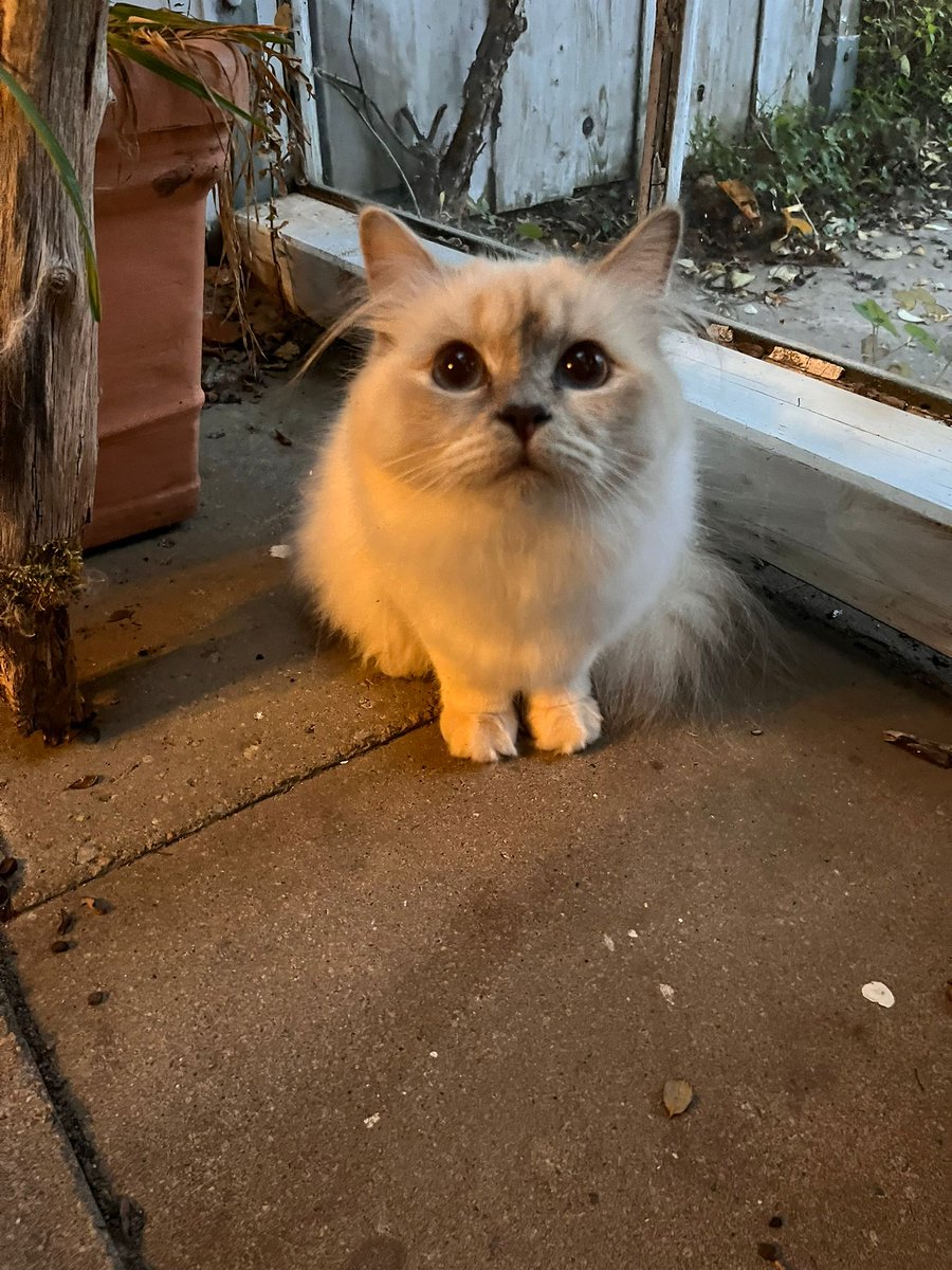 Muksi!! (@muksiiiiii) on Twitter photo 