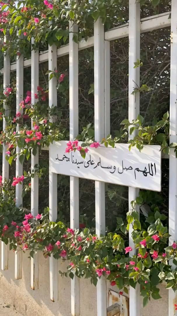 "لم يخْجَل حين قال "خشِيت على نفسي فذهبتُ إلى خديجة.
"لم يذهب إلى قبيلتهِ ولا عشيرتهِ اللّذان هما الأحَق... كأنّهُ أرادَ إخبارَنا فيما بعْد "خديجة هي قبيلتي وكل أُناسي" 
إنه الحبيب المُصطفى الذي علَّمنا كيف يكُون الحب حقًا... صلُّوا عليهِ وسلِّموا تسليما ً"