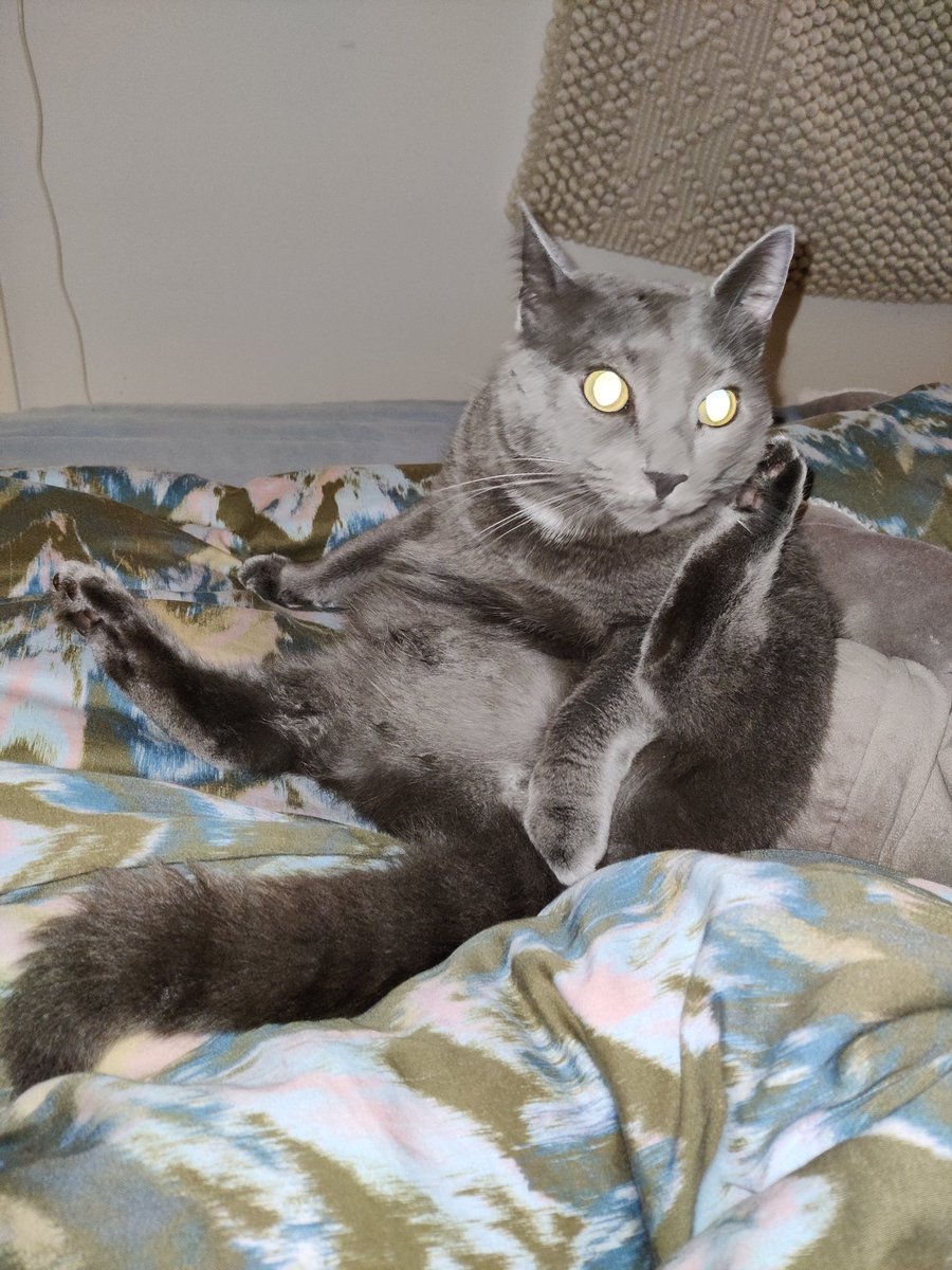 <a href="/CleeWeezy/">Littol Clee 🖤🧡</a> Cleesit; but maybe it PG (out of respect)
Multitasking cos he's also opening a portal to the upside down 😏