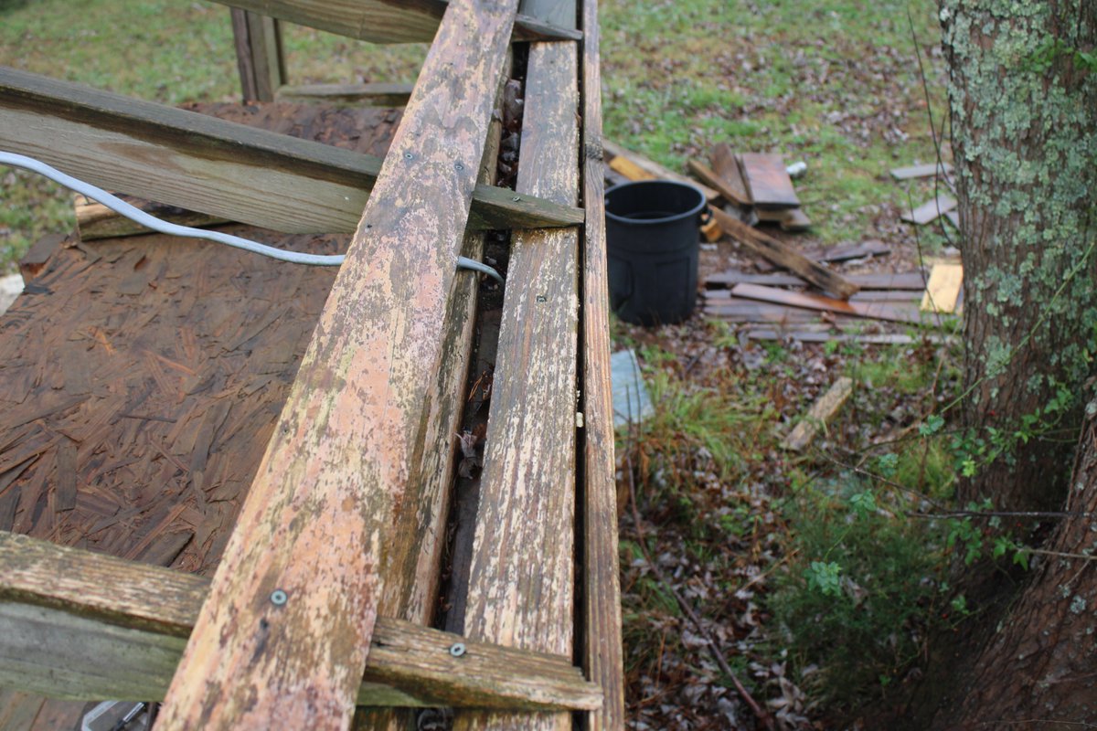 docsanderson's tweet image. #Scientists #Carpenter #RestorationProject #WildFireProtocol #Wolves @HeartsofHeroes_
@danpeckwx @Nature @Ginger_Zee Mags G, this board is  wrong size with LARGE bowing. the bowing induced stress into the frame causing a twisting. i have to pull it from under the rafters Mwah Lee