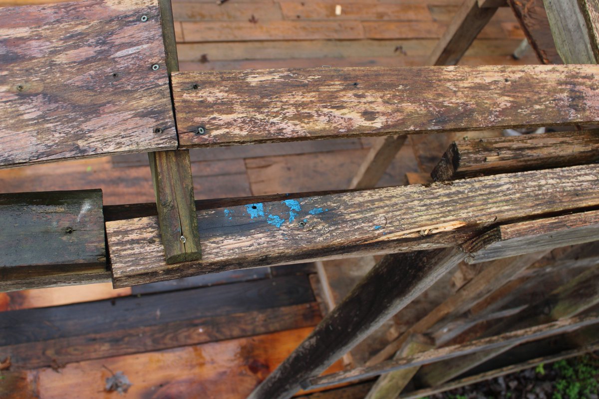 docsanderson's tweet image. #Scientists #Carpenter #RestorationProject #WildFireProtocol #Wolves @HeartsofHeroes_
@danpeckwx @Nature @Ginger_Zee Mags G, this board is  wrong size with LARGE bowing. the bowing induced stress into the frame causing a twisting. i have to pull it from under the rafters Mwah Lee