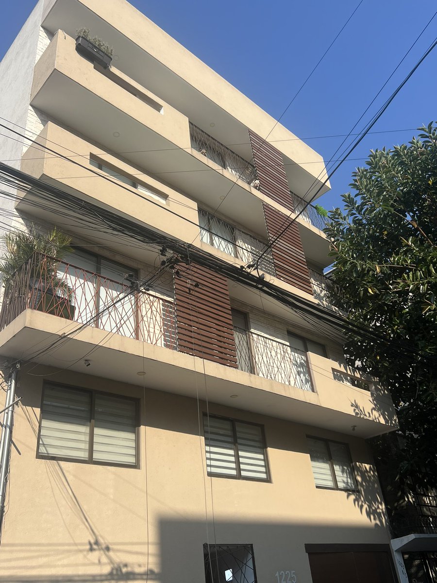 UlinLourdes's tweet image. MALTRATO ANIMAL!  Viven en un balcón, les da la lluvia el frío Nicolás San Juan 1225  depto 401 COL DEL VALLE deleg Benito Juárez entre Pilares y Matías Romero