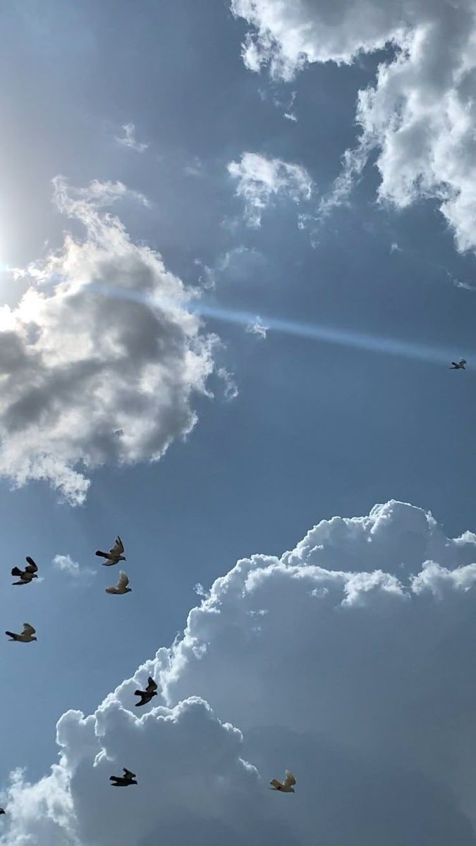 #مساء_الخير_والسعاده_للجميع
#مسائيات 

تود الروح لو تختبئ في قلب غيمة 🤍🕊️