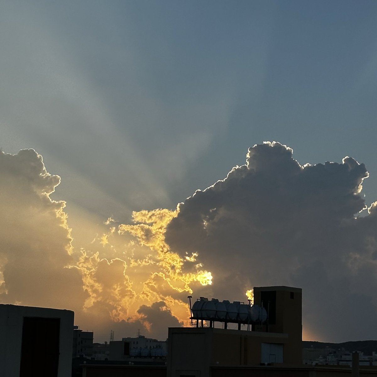 د.جَنى tweet media