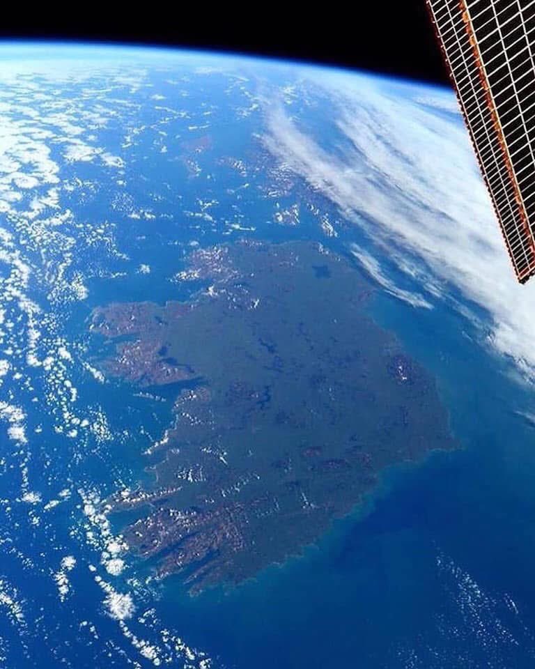 Irish Unity 🇮🇪🇵🇸 tweet media