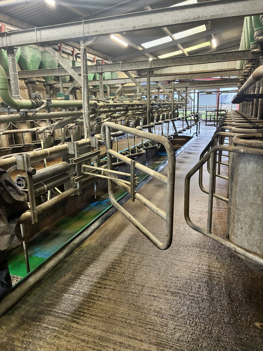 Jerry Moloney tweet media