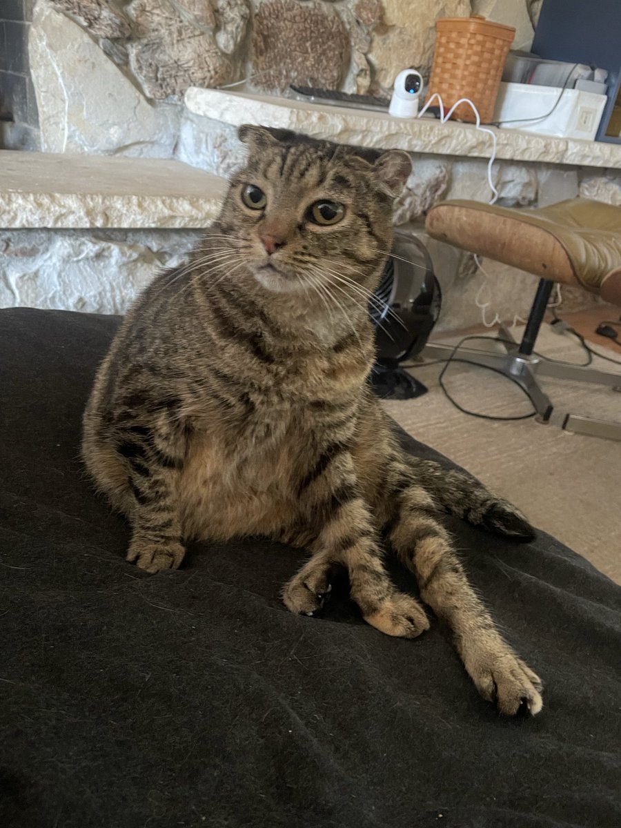 do you see this razzle dazzle?