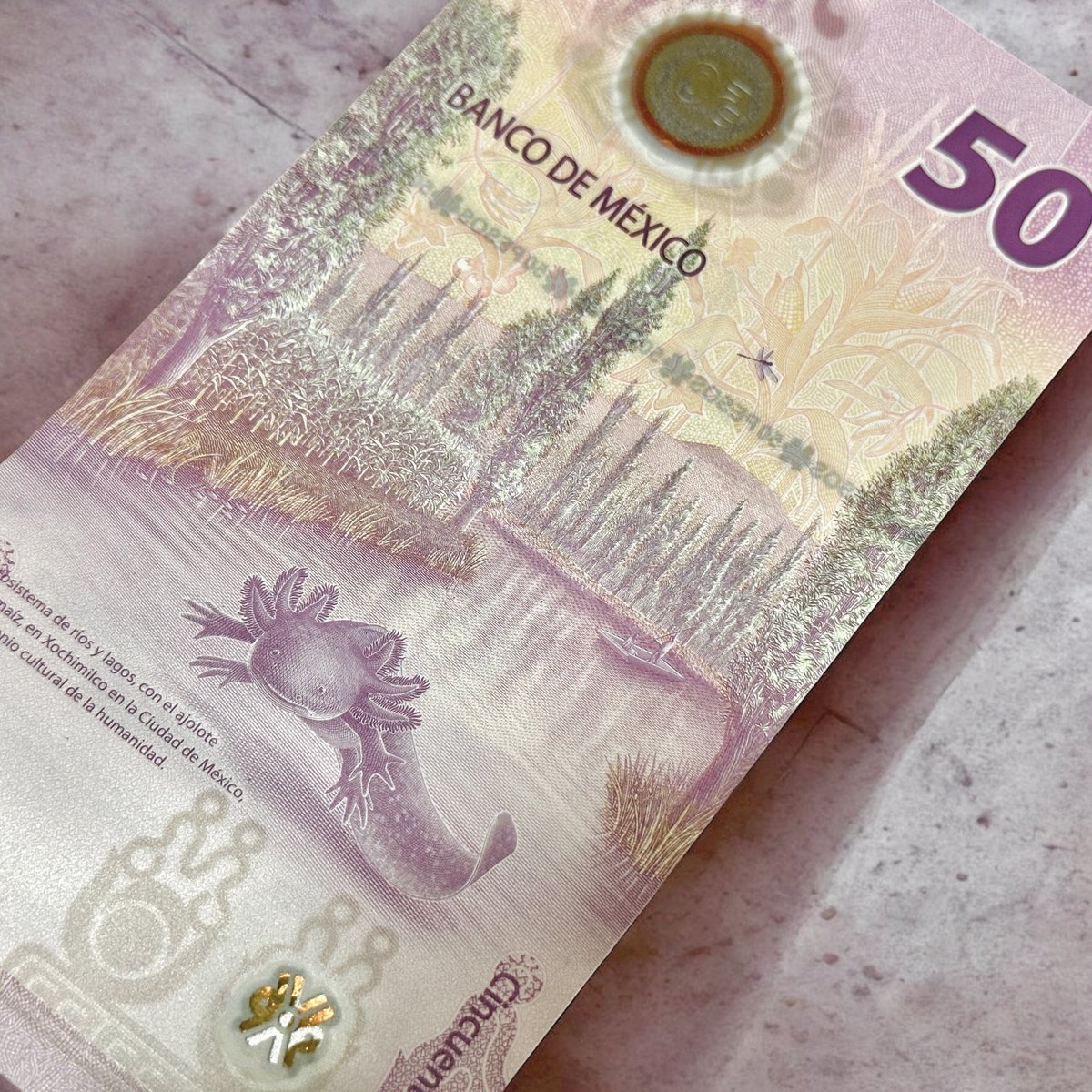 ししまるもも　丑三つワラニン　恐怖！うごく銅像 ノベルティ付き ししまるもも®︎ (@sisimaru_momo) / Posts / X