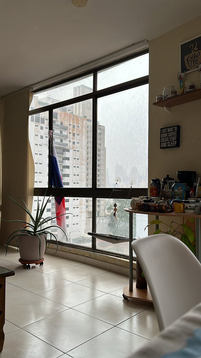 ☔️☔️☔️☔️