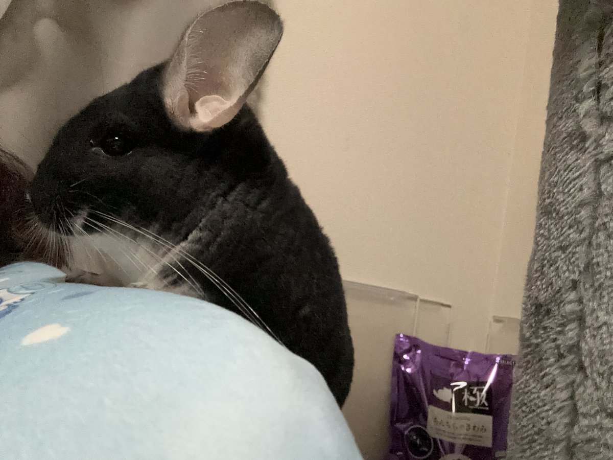 ことほ (@KoToHo0627) / Posts / X