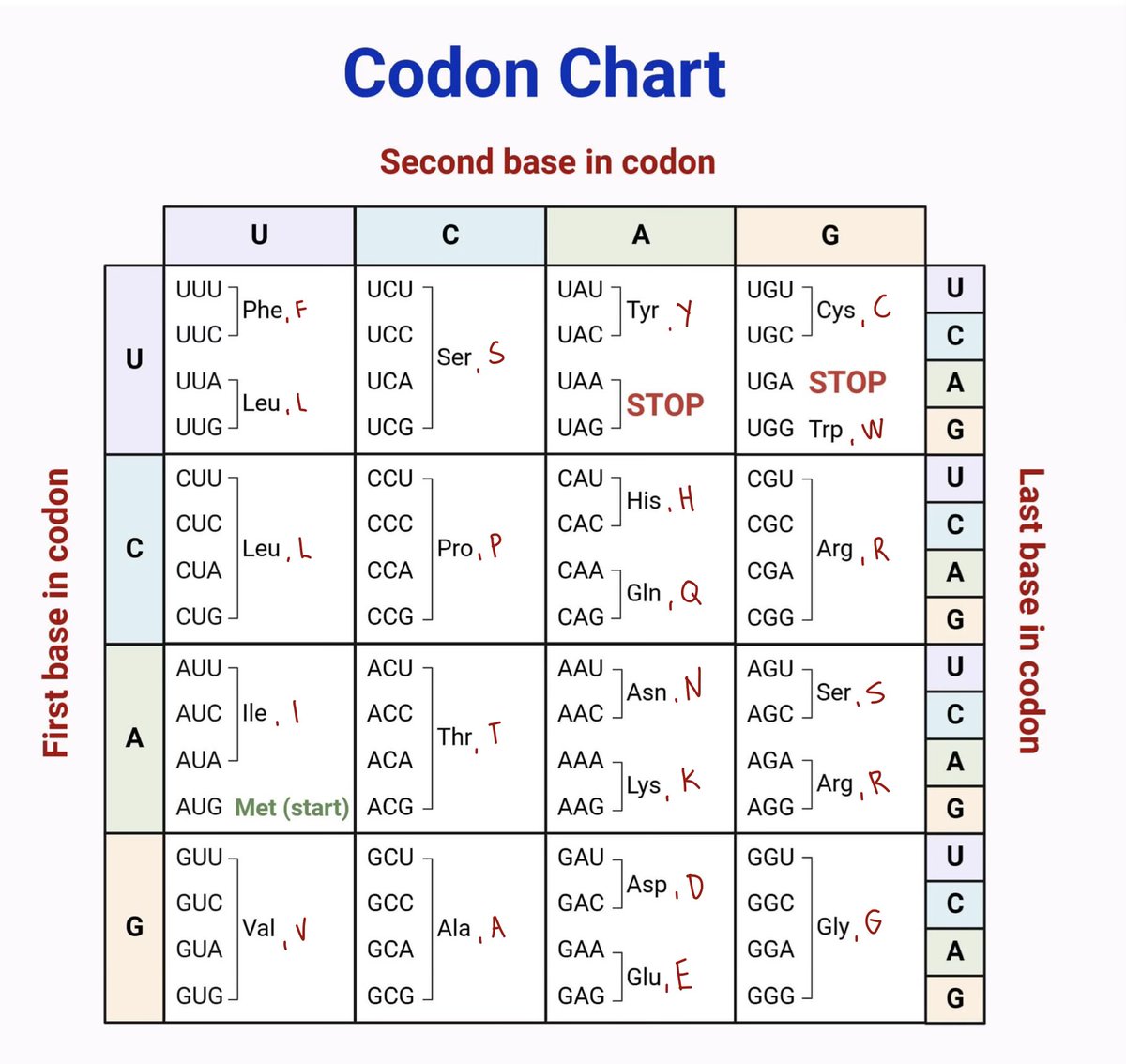 ⭐️kari, fRPh tweet media