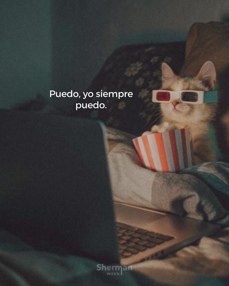 𝗧 𝗲 𝘅 𝘁 𝗼 𝘀 𝗡 𝘂 𝗯 𝗹 𝗮 𝗱 𝗼 𝘀 ☁️ (@textosnublados) on Twitter photo 