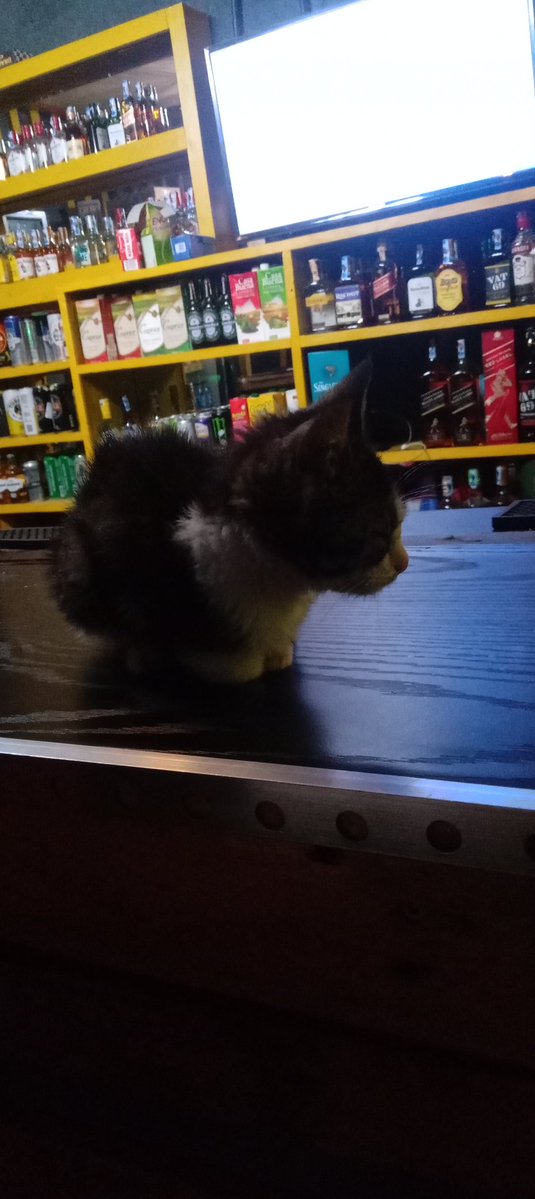 Modixx_'s tweet image. Acha pia mm nione kama nitaambiwa nipaste