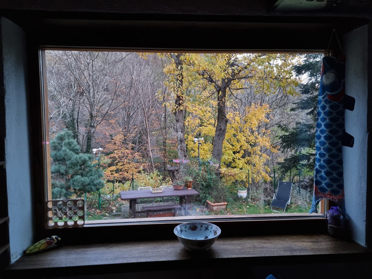 Nick Fox tweet media