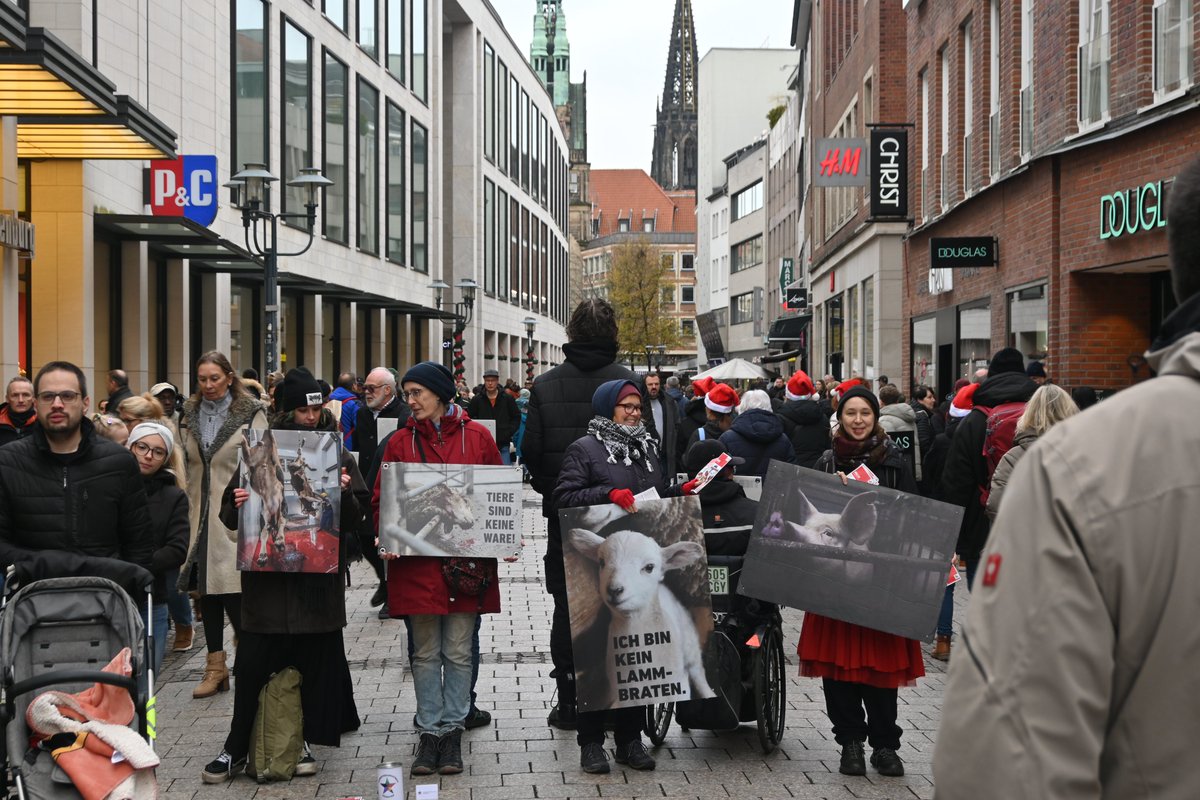 tierbefreiungms's tweet photo. Tiere sterben zu Millionen jeden Tag. Wer vegan lebt, finanziert die Tötung nicht✊
Auch die vegetarische Lebensweise kommt nicht ohne Tötung von Kälbern aus. Kühe 🐄 geben Milch für ihre Kinder, nicht für Menschen
#weihnachten #veganeweihnachten #weihnachtenvegan #festderliebe https://t.co/HSydhXpbUm