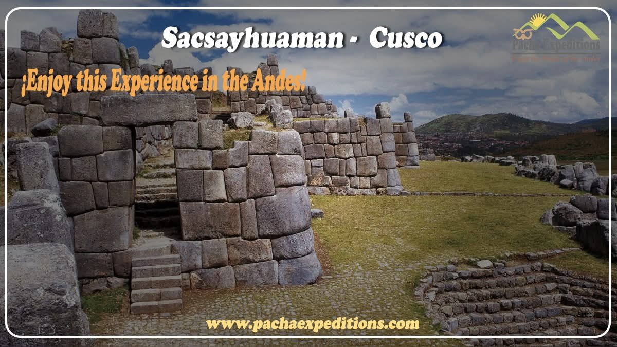 Pachacusco's tweet photo. Somos una Empresa Local y 100% Operadores en la Ciudad de Cusco 
WhatsApp+51 984387050 
https://t.co/CILSjn6MOS https://t.co/Yi3a8QAfUR
