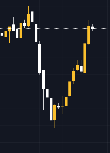 Sam Wolf 🍥 tweet media