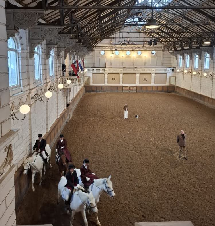 BBBNoordHolland's tweet photo. Met de BBB fractie een high thee op de Hollandsche Manege in Amsterdam. Samen met BBB Waterschap Hollands Noorderkwartier BBB Fractie Eerste Kamer en BBB Amsterdam heerlijk bijgekletst.
#BBB #bbbeter #gezelligheidkentgeentijd https://t.co/EuV5hUcXxp