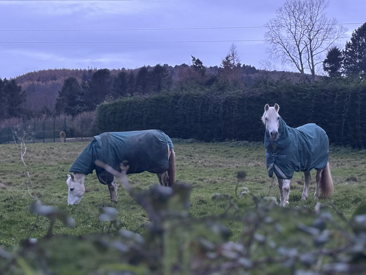 internalcabling's tweet image. А на вопрос «кто?» мы отвечаем: