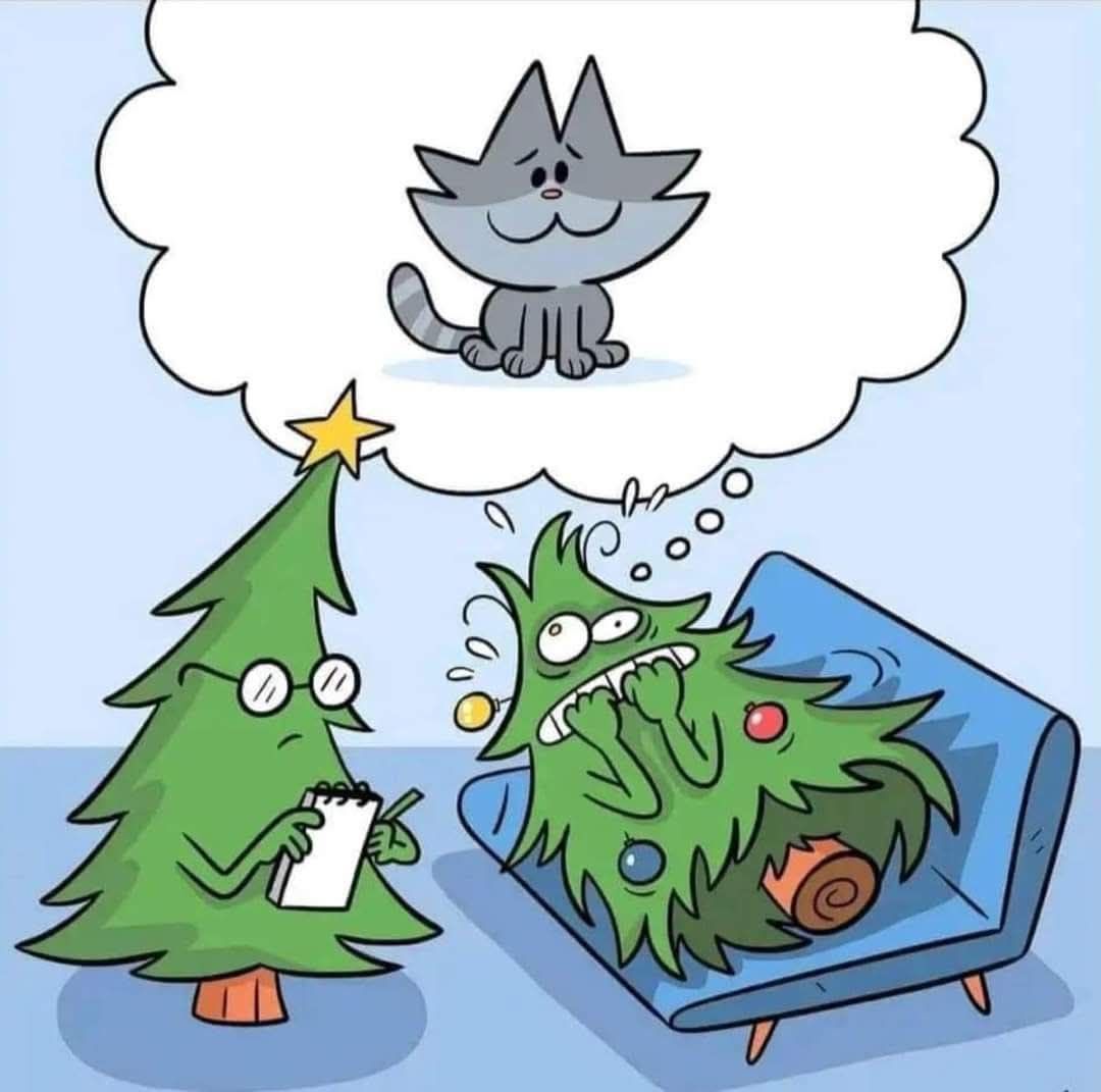 gregcatarino1's tweet image. 