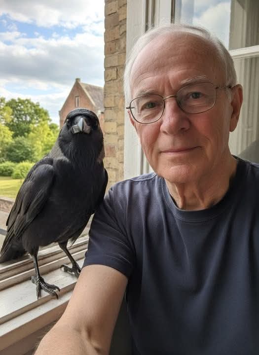 CrazyVibes_1's tweet image. He started visiting my window years ago, long before I ever expected to form a bond like this. It began with small things, a tap on the glass early in the morning, a shadow landing on the sill, a curious pair of eyes watching me while I read or drank my tea. At first, I thought…