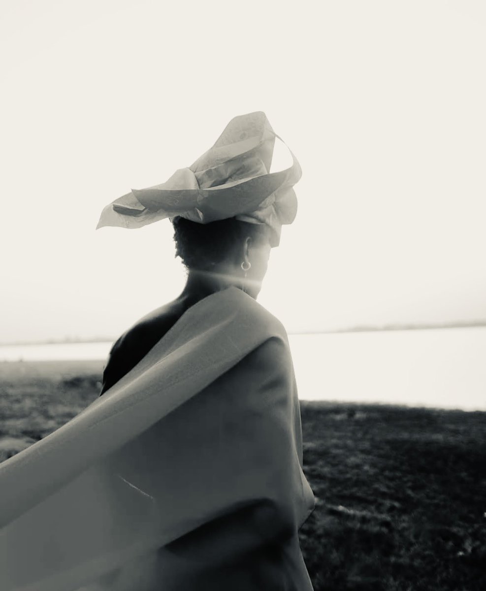 Austin Lifu tweet media