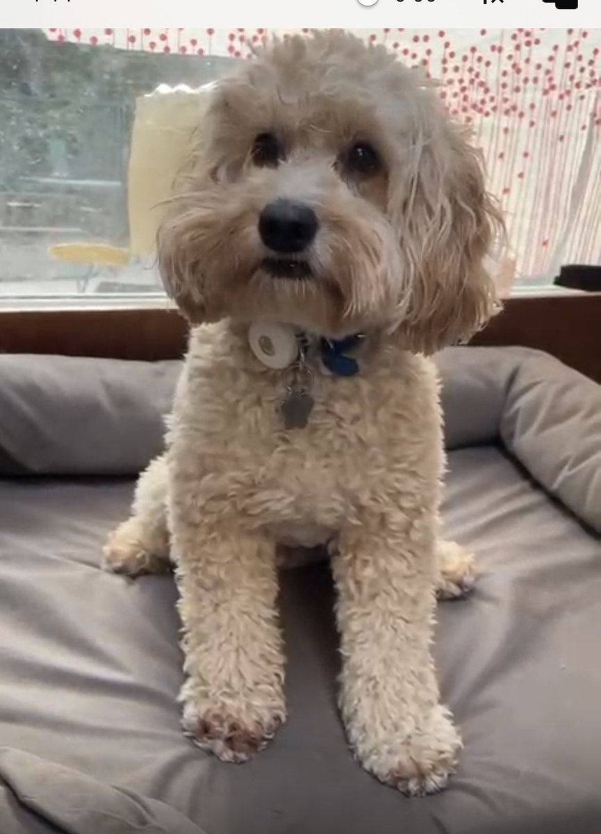 Susan Freeman tweet media